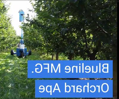 Blueline Orchard Ape Video